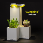 Indoor-2