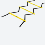 Quick Ladder Pro-2
