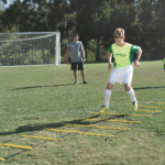Quick Ladder Pro-7
