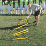 Quick Ladder Pro-8
